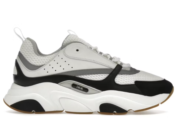 Dior B22 -White Black-